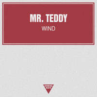 Mr. Teddy - Wind