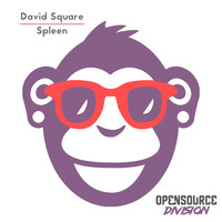 David Square - Spleen