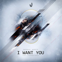 Groove Hertz - I Want You
