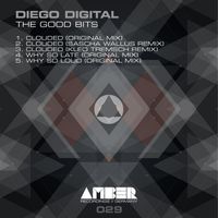 Diego Digital - The Good Bits