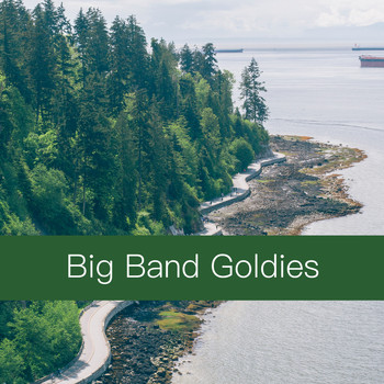 Various Artists - Big Band Goldies