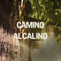 Silvina Romero - Camino Alcalino