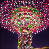 Arman S - Introspection