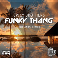 Spicy Brothers - Funky Thang