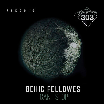 Behic Fellowes - Can't Stop EP