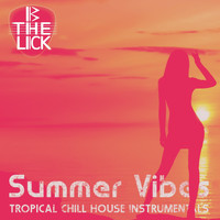 Various Artists, Various Artists - Summer Vibes Tropical Chill House Instrumentals