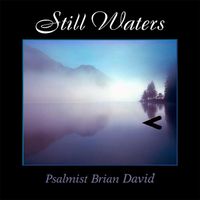 Brian David - Still Waters