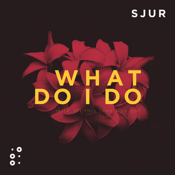 SJUR - What Do I Do