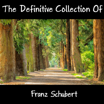 Franz Schubert - The Definitive Collection Of Franz Schubert