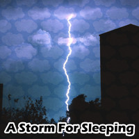 Rain Sounds & Nature Sounds|Sounds Of Nature : Thunderstorm, Rain|Lightning, Thunder and Rain Storm - A Storm For Sleeping