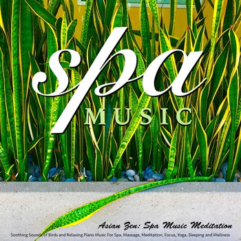 Asian Zen: Spa Music Meditation - Spa Music: Soothing Sounds of Birds and Relaxing Piano Music for Spa, Massage, Meditation, Focus, Yo