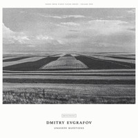 Dmitry Evgrafov - Unasked Questions