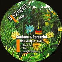 Cardace & Perazzini - Noir jungle - Pt. 1 (Sampler)