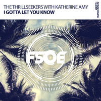 The Thrillseekers with Katherine Amy - I Gotta Let You Know