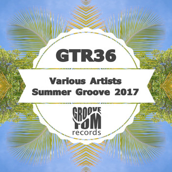 Various Artists - Summer Groove 2017