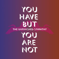 The Unfinished Sympathy - You Have but You Are Not