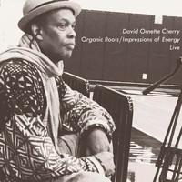 David Ornette Cherry - Organic Roots/ Impressions of Energy Live
