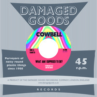 Cowbell - What Am I Supposed to Do?