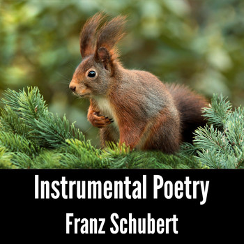 Franz Schubert - Instrumental Poetry: Franz Schubert