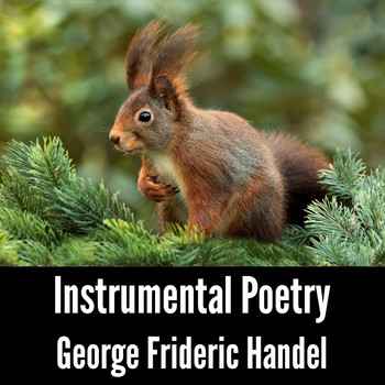 George Frideric Handel - Instrumental Poetry: George Frideric Handel