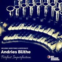 Andries Blithe - Perfect Imperfection