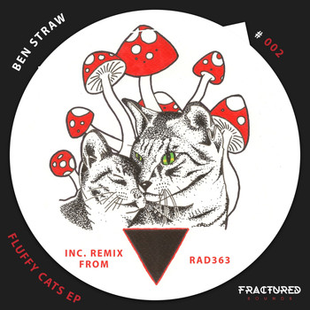 Ben Straw - Fluffy Cats EP
