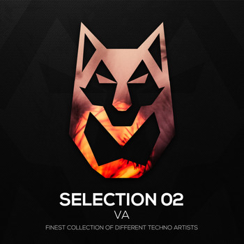 Various Artists - SELECTION 02