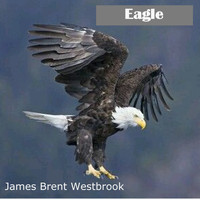 James Brent Westbrook - Eagle