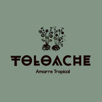 Toloache - Amarre Tropical