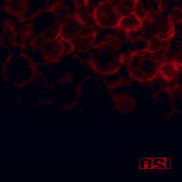 Osi - Blood