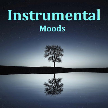 Various Artists - Instrumental Moods