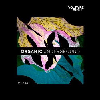 Various Artists - Organic Underground Issue 24