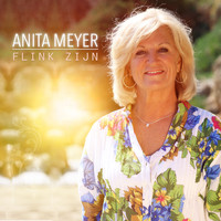 Anita Meyer - Flink Zijn