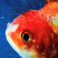 Vince Staples - Big Fish Theory (Explicit)