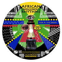 Ron Trent - African Indigenous Rhythms