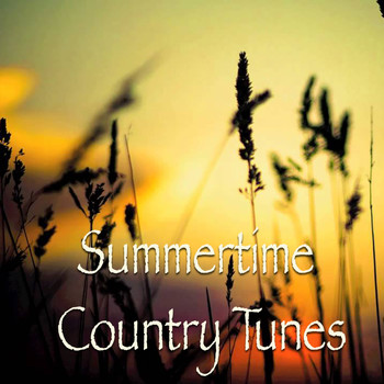 Various Artists - Summertime Country Tunes