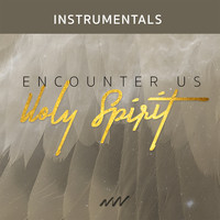 New Wine - Encounter Us Holy Spirit