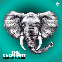 Sammy Chand - The Elephant