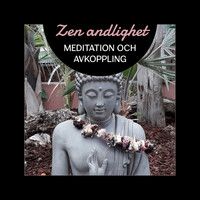Lugnande zen musikzon - Zen andlighet - Meditation och avkoppling, Sinnesropp, Helande ljud av naturen, Stillhet och lugn