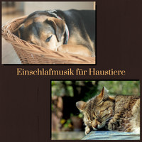 Evan Tierisch - Einschlafmusik für Haustiere - 50 Entspannende Musiktherapie für Hunde und Katzen zum Schlafen