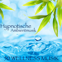 Liquid Stranger - Hypnotische Ambientmusik - 50 Wellness Musik, Meditationsmusik und Entspannungsmusik für Zen, Spa, Yoga und Chill