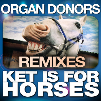 Organ Donors - Ket is for Horses