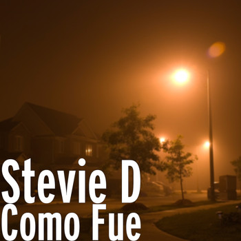 Stevie D - Como Fue