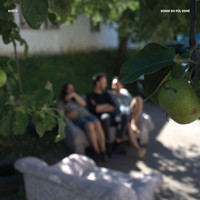 Kvety - Komik do půl osmé