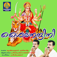 Various  Artists - Saila Nandhini