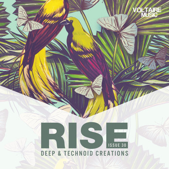 Various Artists - Rise - Deep & Technoid Creations Issue 30