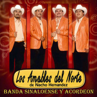 Los Amables Del Norte - Banda Sinaloense y Acordeon
