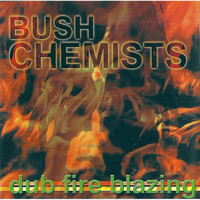 Bush Chemists / - Dub Fire Blazing