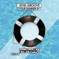 Level Groove - Your Summer EP