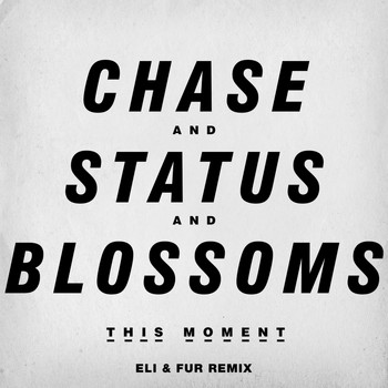 Chase & Status And Blossoms - This Moment (Eli & Fur Remix)